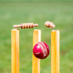 From Signup to Winnings: How Reddybook Betting IDs Work