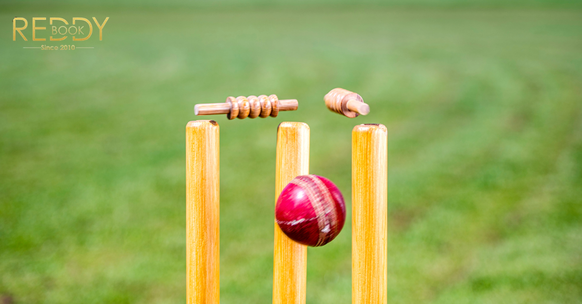 From Signup to Winnings: How Reddybook Betting IDs Work