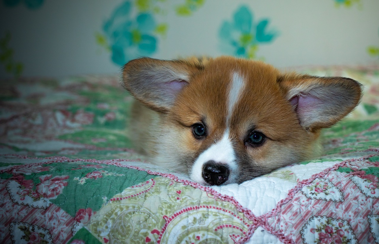 Goexch9 Review: Features, Security, and Why It’s Gaining Traction in Crypto Trading